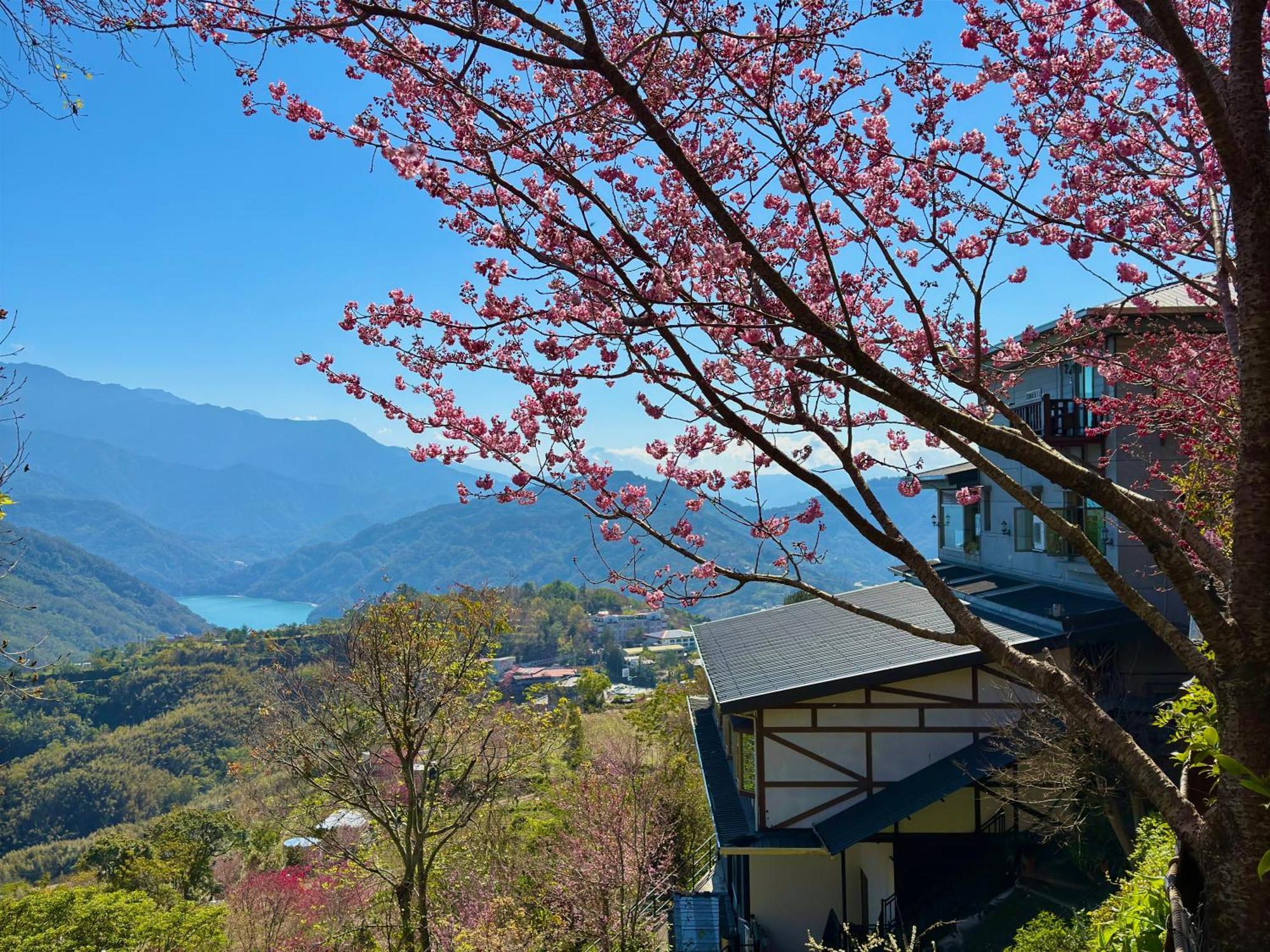 Tian Hsiang Tea B&B Renai Exterior foto