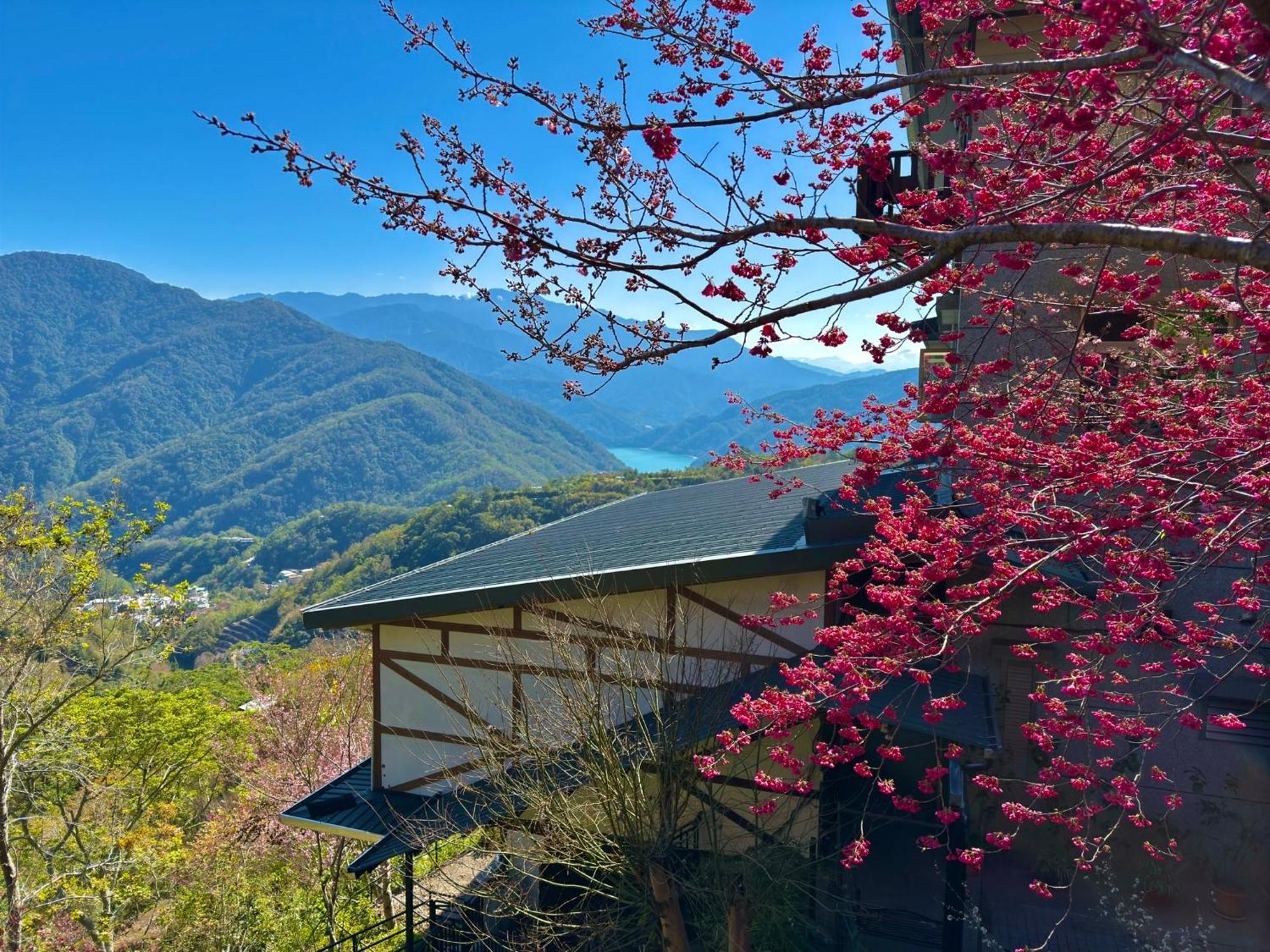 Tian Hsiang Tea B&B Renai Exterior foto